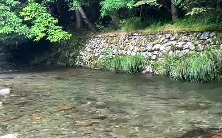 木々と石垣に囲まれた透明な川の水風呂